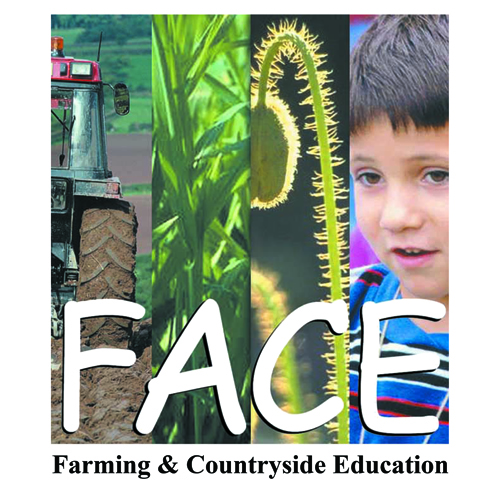 FACEonline
