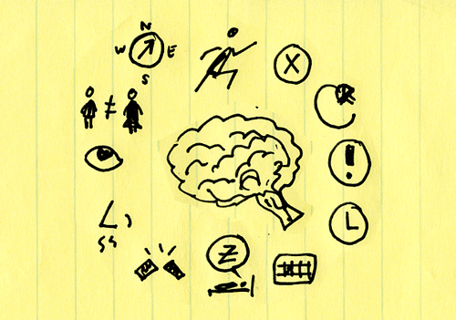 "The Brain Rules" by John Medina is a Powerful Tool for the Classroom