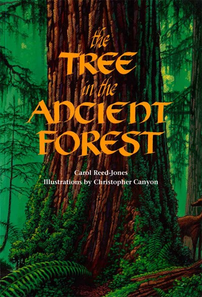 Tree in the Ancient Forest Activity