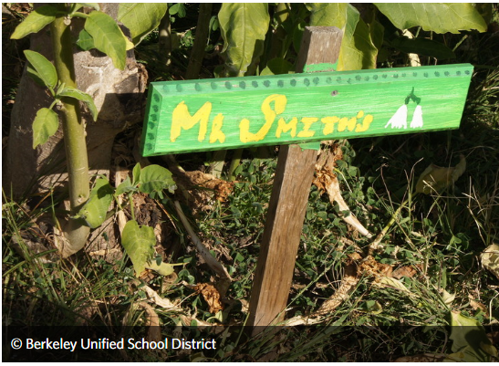 Living Schoolyard Guide