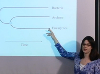 Classifying Animals by Appearance Versus DNA Seque
