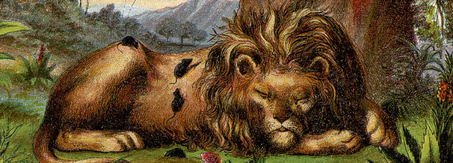 Playlist: Recount Stories (RL.3.2)