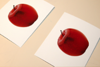 Identical Matching Lesson Plan