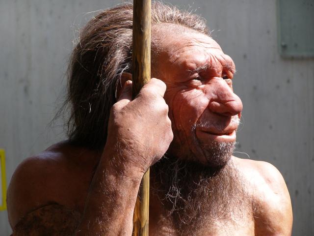 The Secret Life of Neanderthals