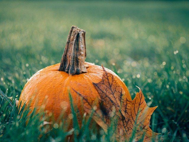 Weather change in the fall season for 2nd grade