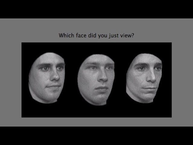 Face Blindness study sheds light on typical brain function - Science Nation